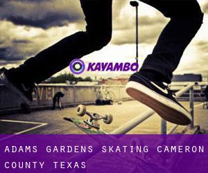 Adams Gardens skating (Cameron County, Texas)