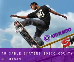 Au Sable skating (Iosco County, Michigan)