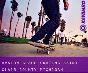 Avalon Beach skating (Saint Clair County, Michigan)