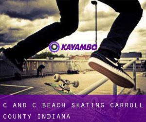 C and C Beach skating (Carroll County, Indiana)