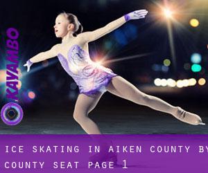 Ice Skating in Aiken County by county seat - page 1