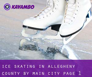 Ice Skating in Allegheny County by main city - page 1