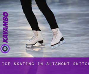 Ice Skating in Altamont Switch