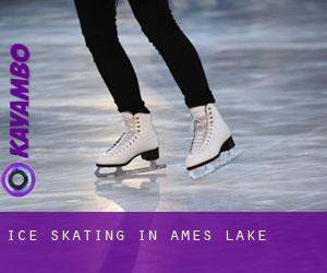 Ice Skating in Ames Lake