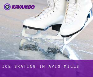 Ice Skating in Avis Mills