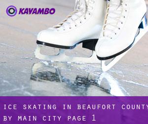 Ice Skating in Beaufort County by main city - page 1