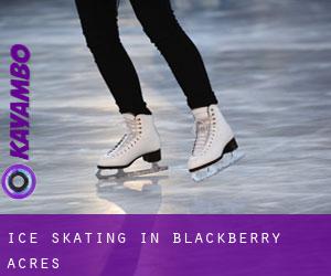Ice Skating in Blackberry Acres