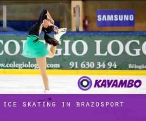 Ice Skating in Brazosport