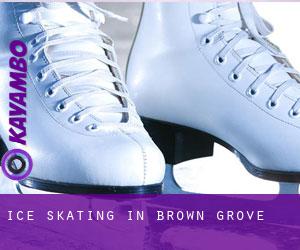 Ice Skating in Brown Grove
