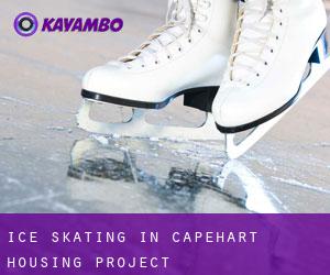Ice Skating in Capehart Housing Project