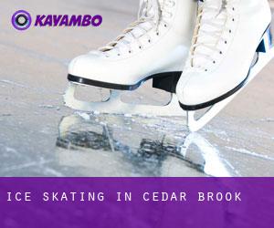 Ice Skating in Cedar Brook