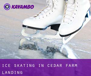Ice Skating in Cedar Farm Landing
