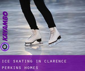 Ice Skating in Clarence Perkins Homes