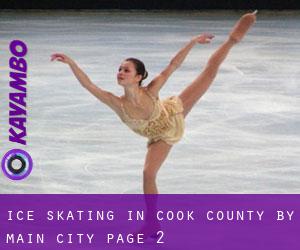 Ice Skating in Cook County by main city - page 2
