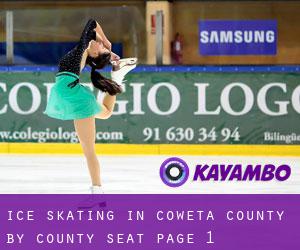 Ice Skating in Coweta County by county seat - page 1