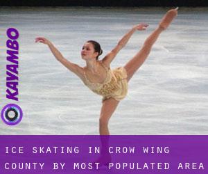 Ice Skating in Crow Wing County by most populated area - page 2