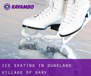 Ice Skating in Duneland Village of Gary
