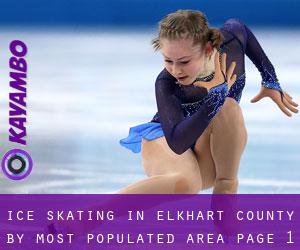 Ice Skating in Elkhart County by most populated area - page 1