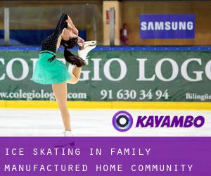 Ice Skating in Family Manufactured Home Community