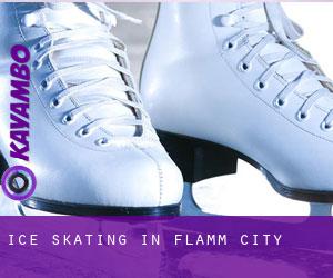 Ice Skating in Flamm City