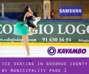 Ice Skating in Goodhue County by municipality - page 1