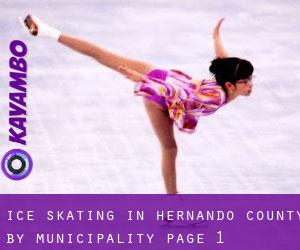 Ice Skating in Hernando County by municipality - page 1