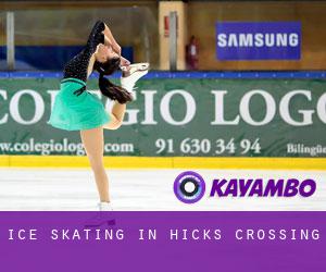Ice Skating in Hicks Crossing