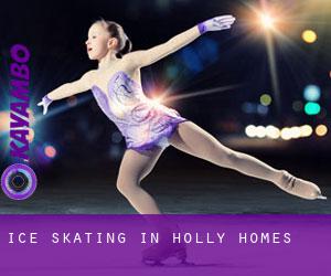 Ice Skating in Holly Homes
