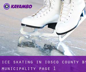 Ice Skating in Iosco County by municipality - page 1