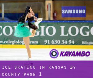 Ice Skating in Kansas by County - page 1