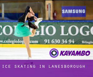 Ice Skating in Lanesborough