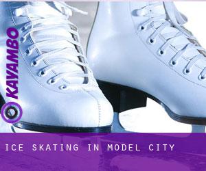 Ice Skating in Model City