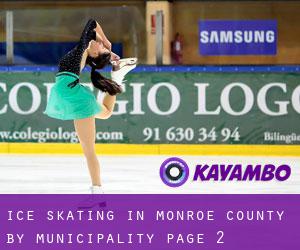 Ice Skating in Monroe County by municipality - page 2