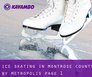 Ice Skating in Montrose County by metropolis - page 1