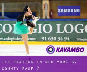 Ice Skating in New York by County - page 2