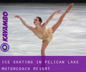 Ice Skating in Pelican Lake Motorcoach Resort