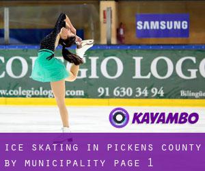 Ice Skating in Pickens County by municipality - page 1