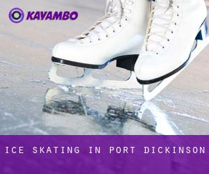 Ice Skating in Port Dickinson