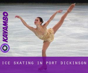Ice Skating in Port Dickinson