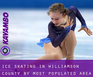 Ice Skating in Williamson County by most populated area - page 1