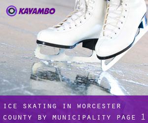 Ice Skating in Worcester County by municipality - page 1