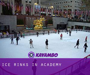 Ice Rinks in Academy
