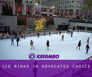 Ice Rinks in Advocates Choice