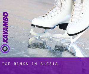 Ice Rinks in Alesia