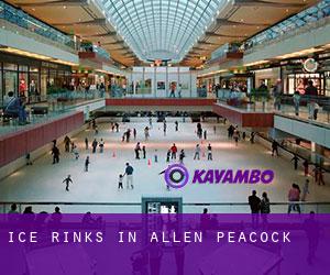 Ice Rinks in Allen Peacock