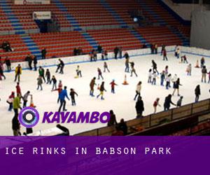 Ice Rinks in Babson Park