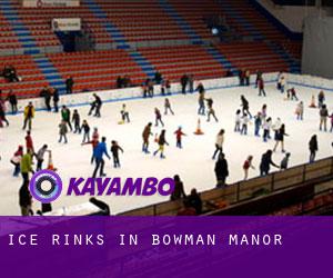 Ice Rinks in Bowman Manor