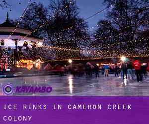 Ice Rinks in Cameron Creek Colony