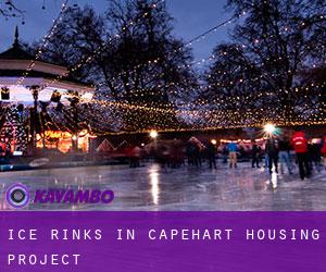 Ice Rinks in Capehart Housing Project