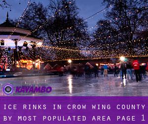 Ice Rinks in Crow Wing County by most populated area - page 1